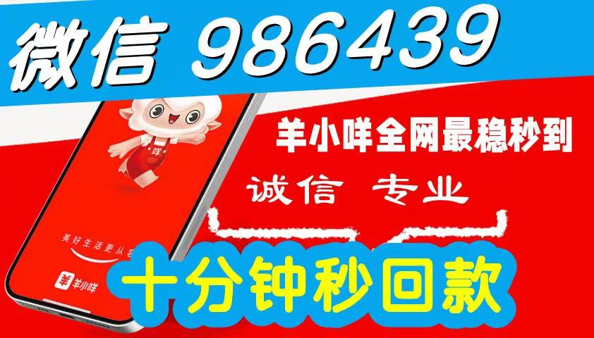 2026 羊小咩临时便荔卡包购物额度怎么提现出来秒到使用,简单三步秒到商家教您自己操作