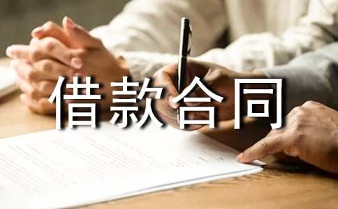 简易个人借款合同5篇[优选]