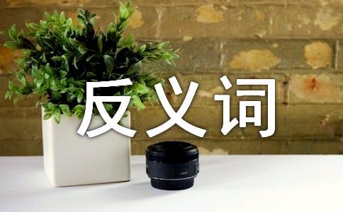 精明的反义词及近义词是什么？造句及释义